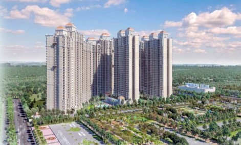 Prateek Grand Begonia